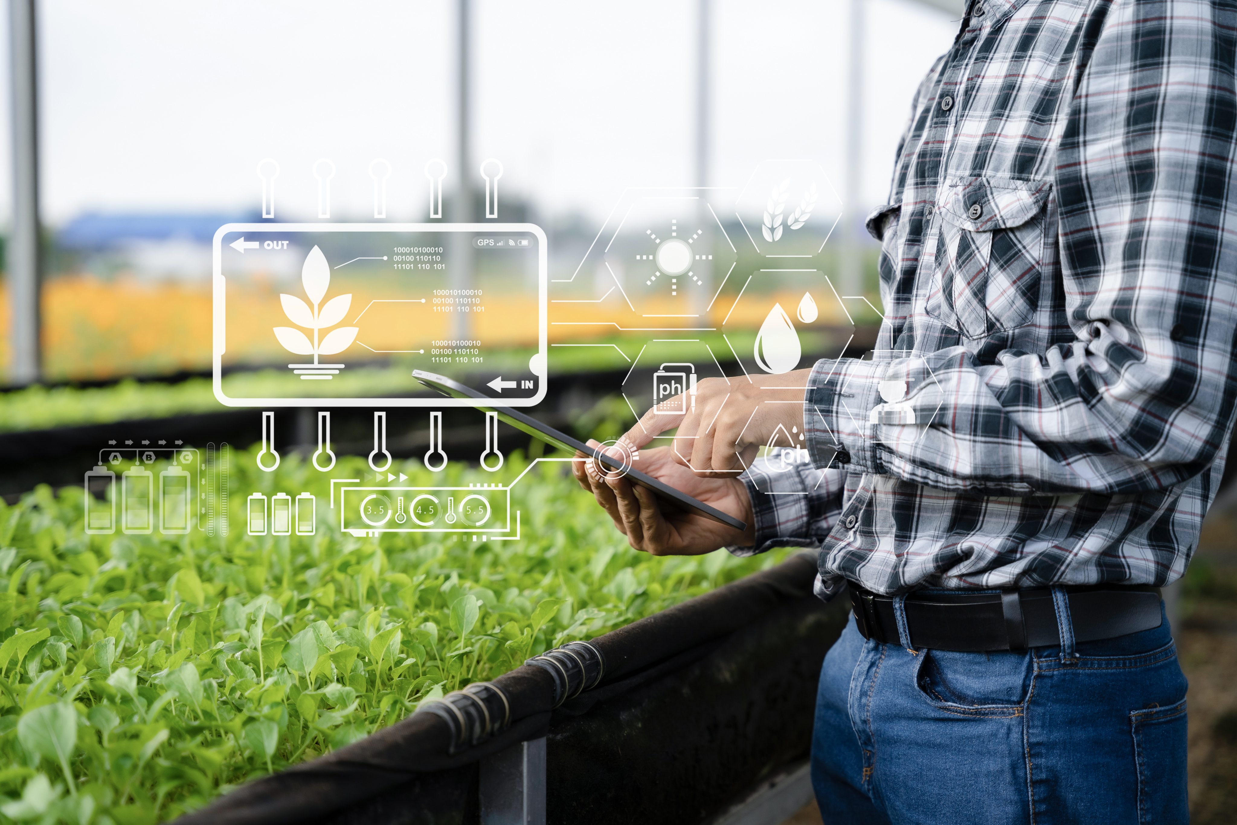Farmland Growth